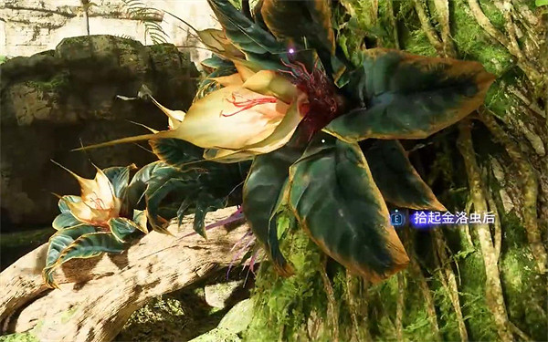 《阿凡達潘朵拉邊境》一路順風支線任務攻略 《阿凡達潘朵拉邊境》一路順風支線任務攻略