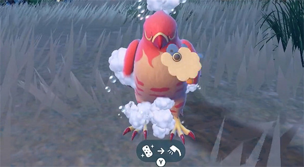 《寶可夢朱紫》開荒寶可夢介紹