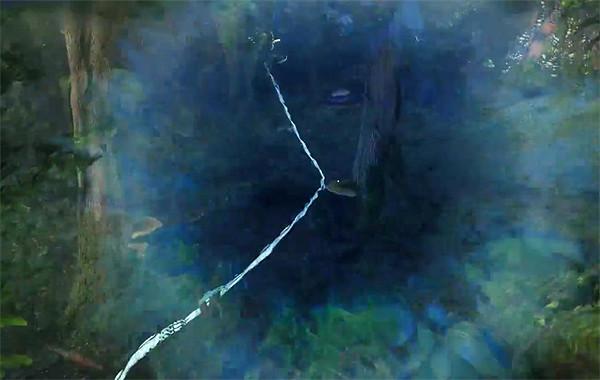 《阿凡達潘朵拉邊境》消失的採集者支線任務攻略 《阿凡達潘朵拉邊境》消失的採集者支線任務攻略