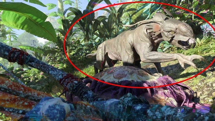 《阿凡達潘朵拉邊境》黑甲巨豹位置一覽