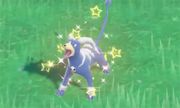 《寶可夢朱紫》閃光黑魯加位置 《寶可夢朱紫》閃光黑魯加位置