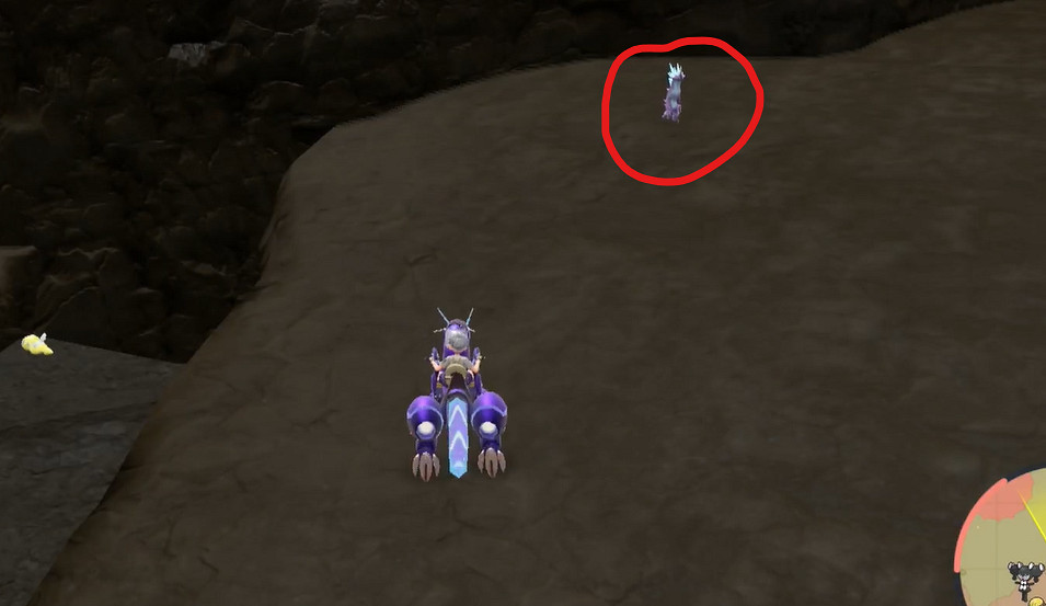 《寶可夢朱紫》顫弦蠑螈捕獲攻略