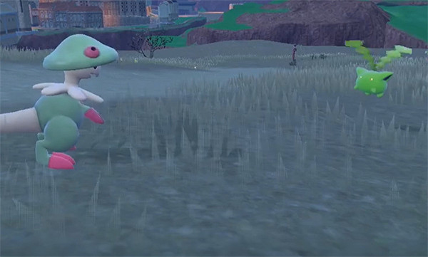 《寶可夢朱紫》毽子草捕捉位置