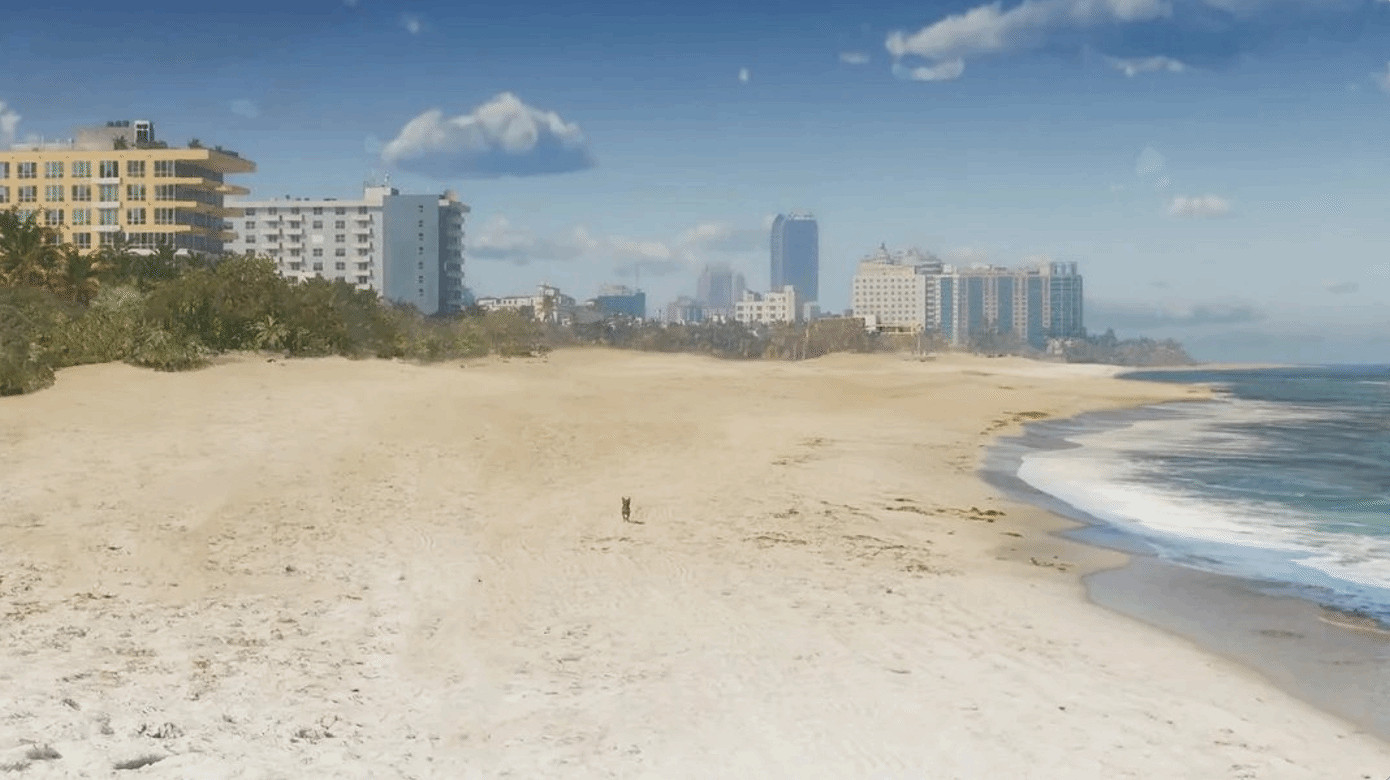 玩家自製XSS版《GTA6》畫面：整片沙灘只剩一條狗！