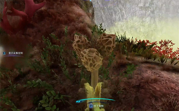 《阿凡達潘朵拉邊境》溫柔巨獸支線任務攻略 《阿凡達潘朵拉邊境》溫柔巨獸支線任務攻略