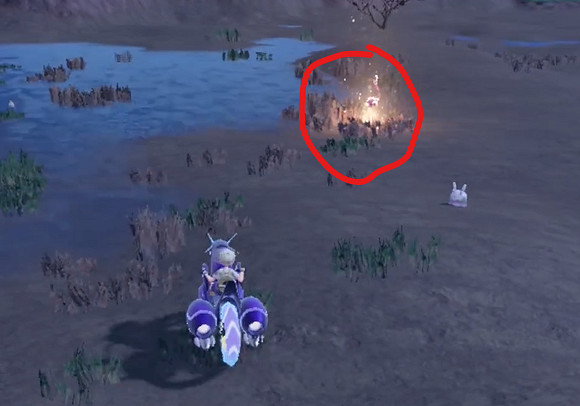 《寶可夢朱紫》纏紅鶴捕獲位置介紹 《寶可夢朱紫》纏紅鶴捕獲位置介紹