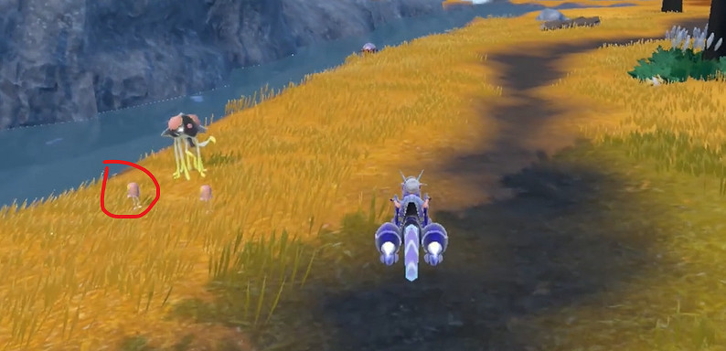 《寶可夢朱紫》原野水母捕獲攻略