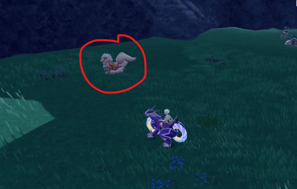 《寶可夢朱紫》風速狗捕捉位置介紹