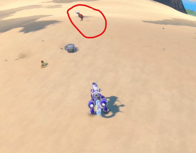 《寶可夢朱紫》沙漠雄鷹固定刷新位置介紹