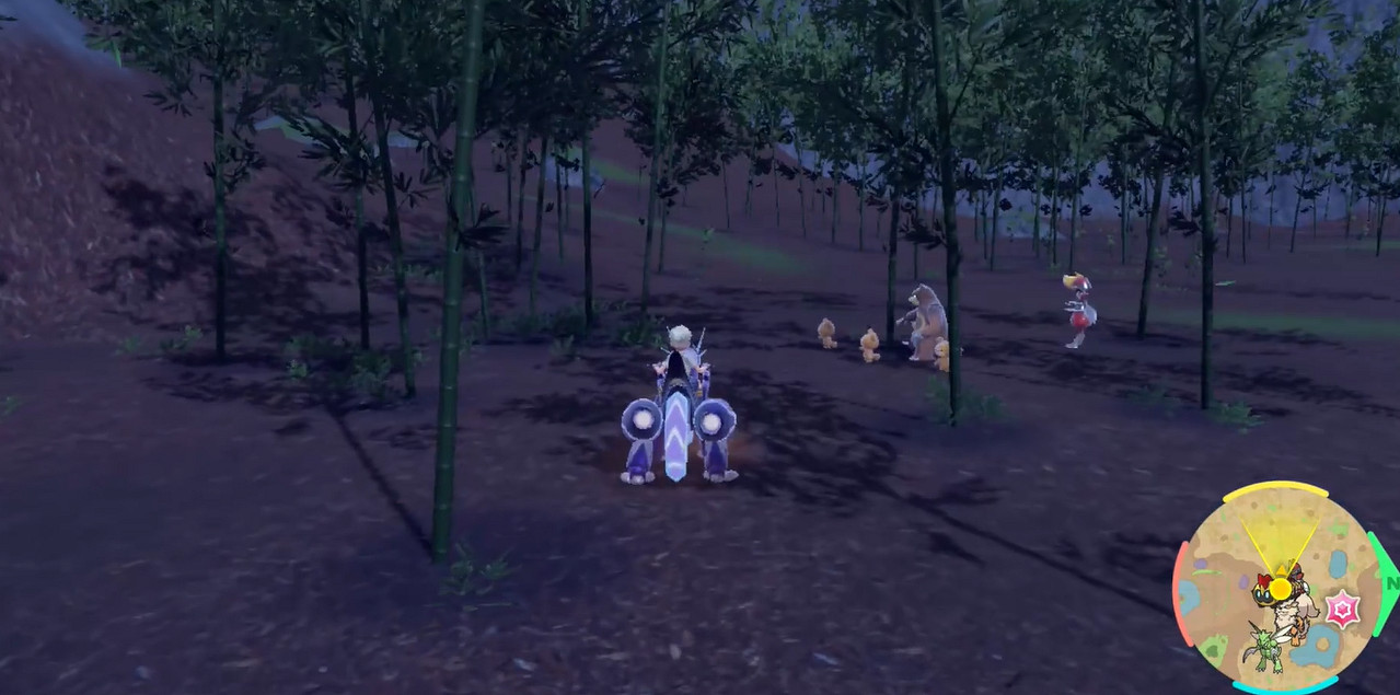 《寶可夢朱紫》熊寶寶捕捉攻略