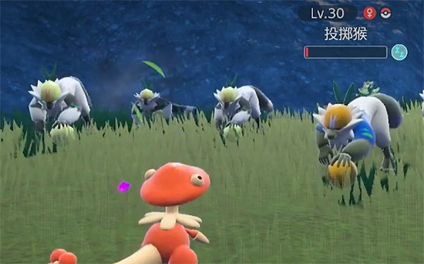 《寶可夢朱紫》投擲猴捕捉位置 《寶可夢朱紫》投擲猴捕捉位置