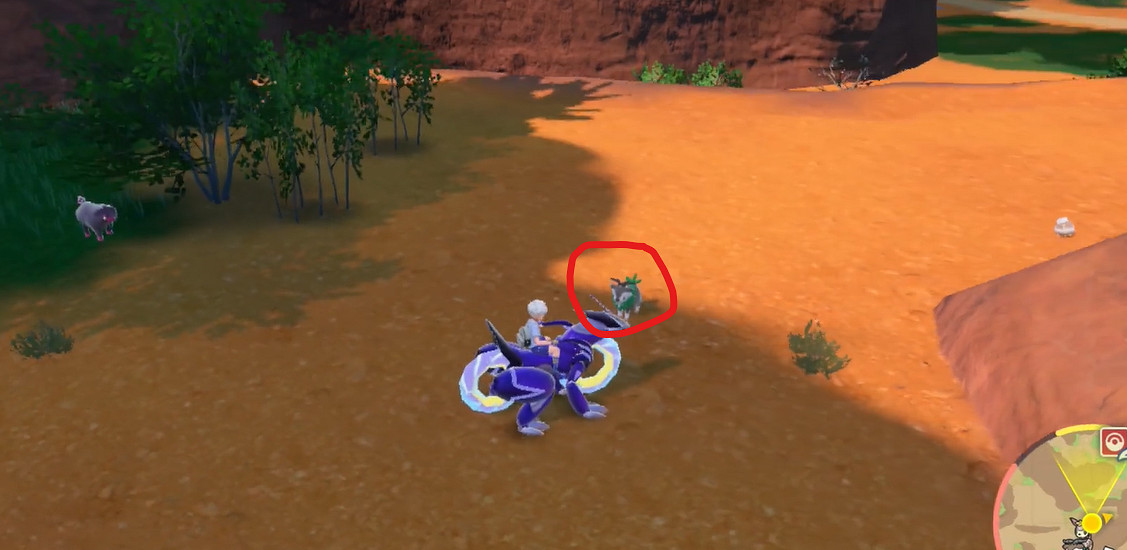 《寶可夢朱紫》坐騎小羊捕獲位置介紹 《寶可夢朱紫》坐騎小羊捕獲位置介紹