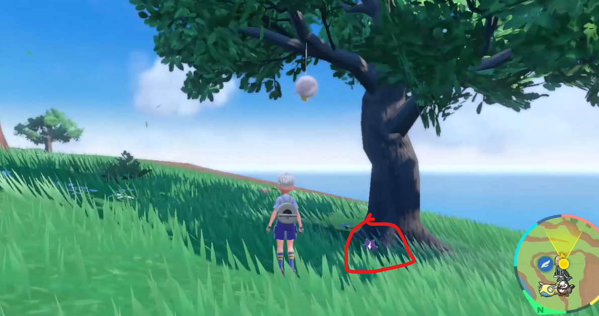 《寶可夢朱紫》電音嬰捕獲位置介紹