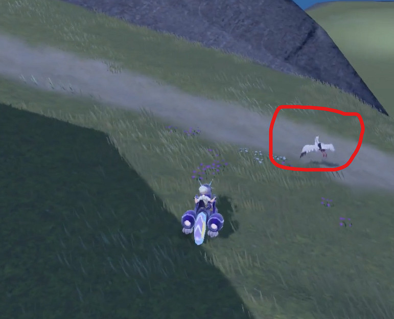 《寶可夢朱紫》下石鳥捕捉位置介紹