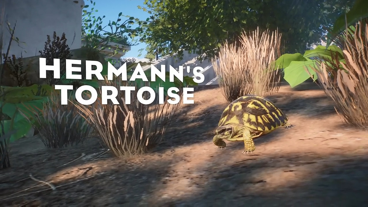 《動物園之星》新DLC“歐亞動物包”正式發售！