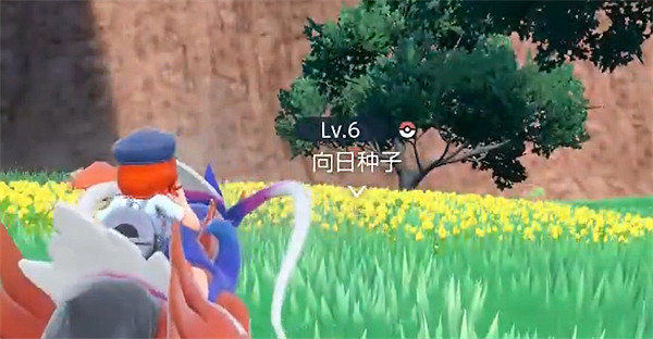 《寶可夢朱紫》向日種子捕捉位置 《寶可夢朱紫》向日種子捕捉位置