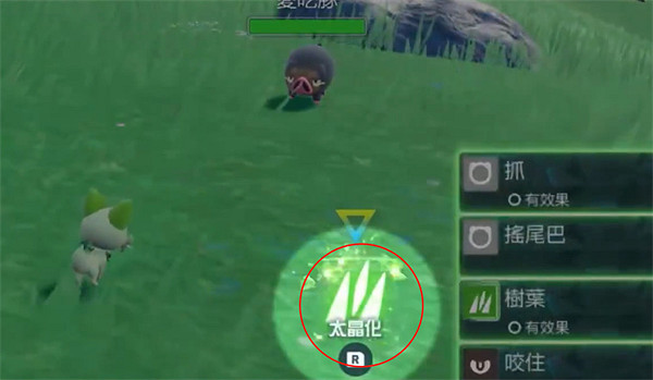 《寶可夢朱紫》太晶化系統簡介