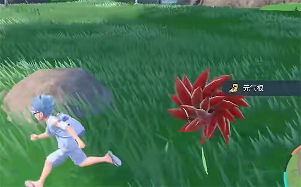 《寶可夢朱紫》智力之羽獲取方法