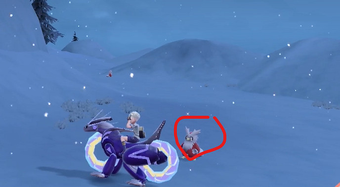 《寶可夢朱紫》信使鳥捕捉地點一覽