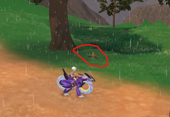 《寶可夢朱紫》摔角鷹人捕抓獲位置一覽