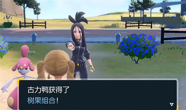 《寶可夢朱紫》減少努力值的果子介紹