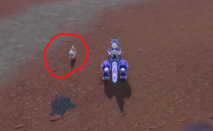 《寶可夢朱紫》卡蒂狗捕捉位置介紹