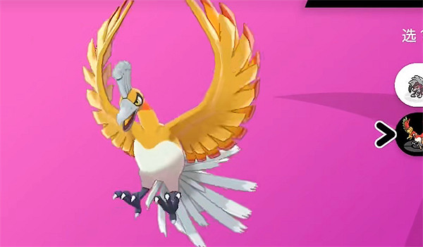 《寶可夢朱紫》鳳王介紹 《寶可夢朱紫》鳳王介紹