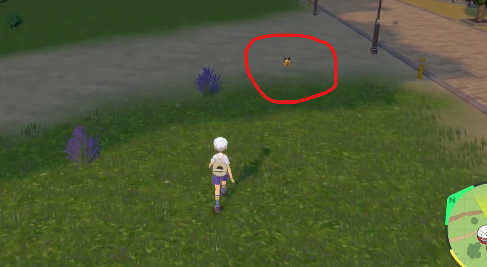 《寶可夢朱紫》咚咚鼠捕捉位置介紹 《寶可夢朱紫》咚咚鼠捕捉位置介紹