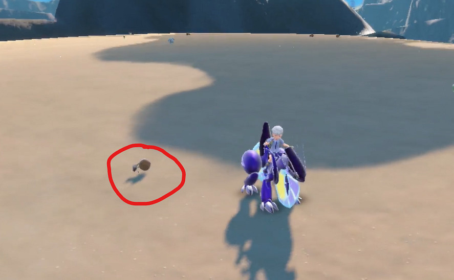 《寶可夢朱紫》蟲滾泥捕捉位置介紹