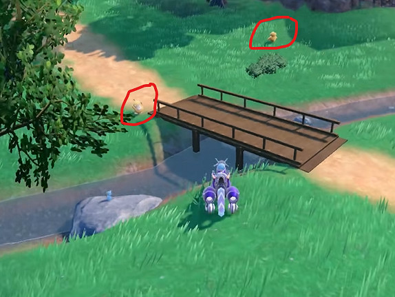 《寶可夢朱紫》可達鴨捕獲位置介紹