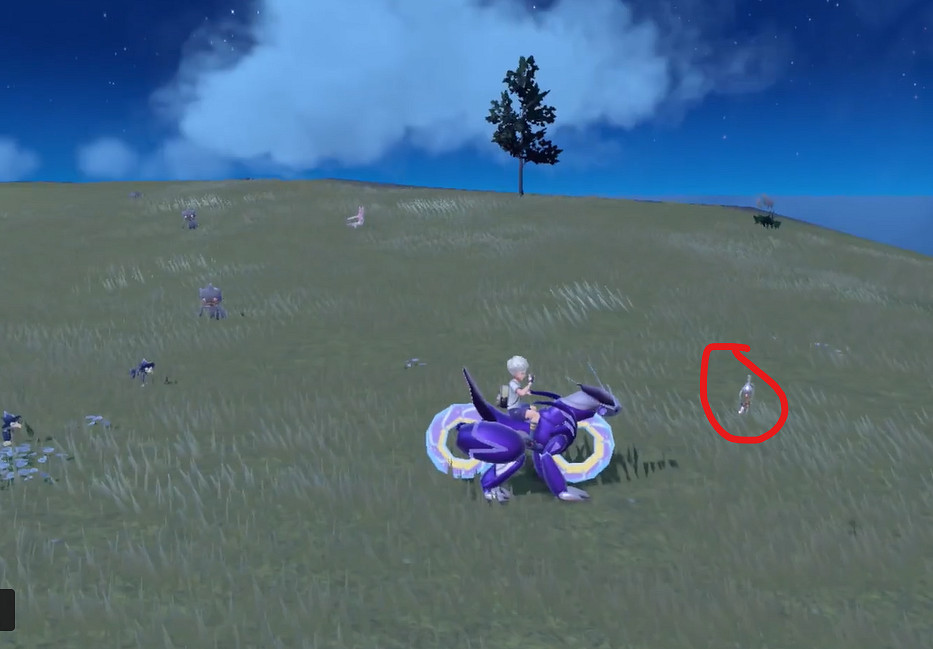 《寶可夢朱紫》銀圈兒捕獲位置介紹