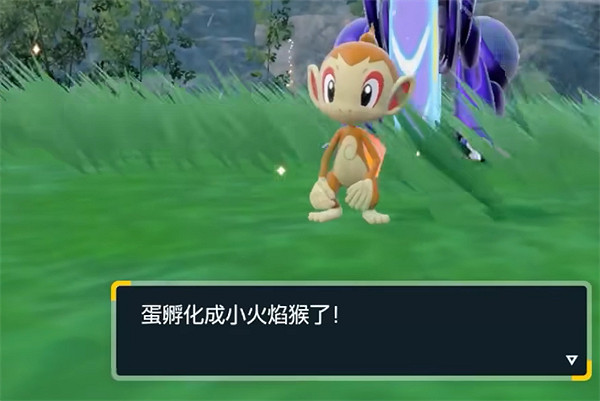 《寶可夢朱紫》dlc禦三家贈送介紹