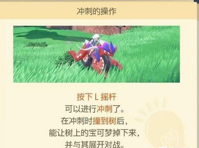 《寶可夢朱紫》領主介紹 《寶可夢朱紫》領主介紹