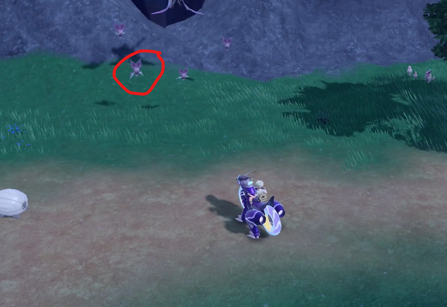 《寶可夢朱紫》嗡蝠捕獲攻略