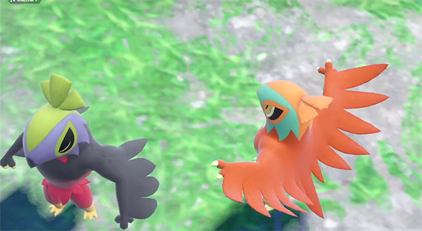 《寶可夢朱紫》小智隊組隊介紹