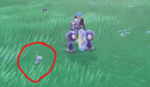 《寶可夢朱紫》提布莉姆捕獲位置介紹