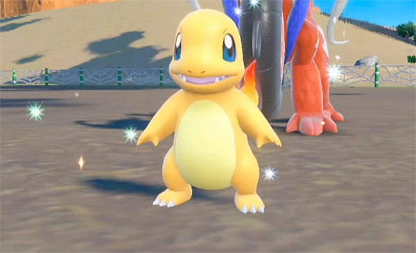 《寶可夢朱紫》孵蛋閃孵化方法 《寶可夢朱紫》孵蛋閃孵化方法