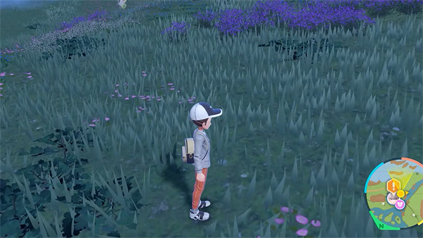 《寶可夢朱紫》pc版a卡遊玩介紹 《寶可夢朱紫》pc版a卡遊玩介紹
