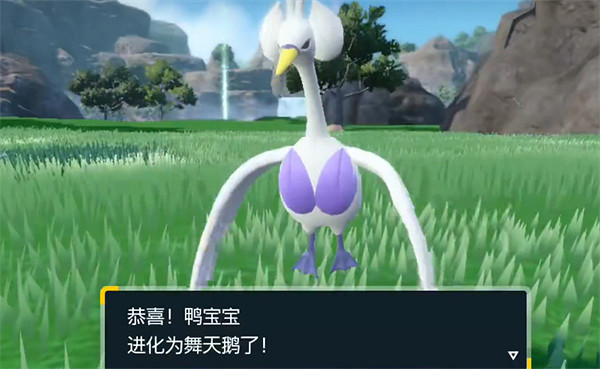 《寶可夢朱紫》首席天鵝進化方式介紹