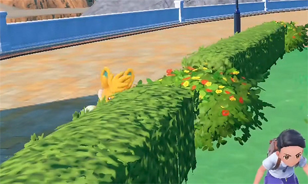 《寶可夢朱紫》布土拔進化介紹