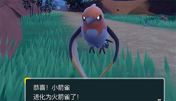 《寶可夢朱紫》小箭雀進化等級介紹 《寶可夢朱紫》小箭雀進化等級介紹