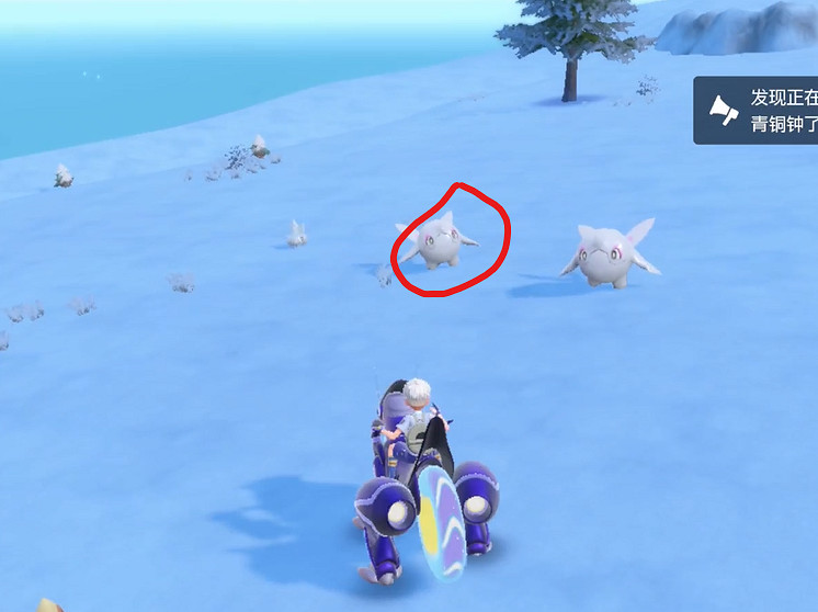 《寶可夢朱紫》走鯨抓捕地點介紹 《寶可夢朱紫》走鯨抓捕地點介紹