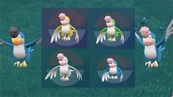 《寶可夢朱紫》怒鸚哥顏色介紹