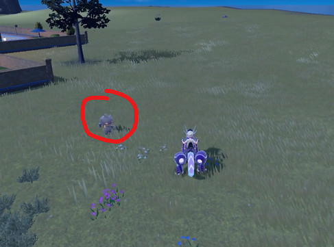 《寶可夢朱紫》詛咒娃娃抓捕地點介紹