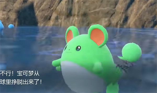 《寶可夢朱紫》瑪力露強度介紹