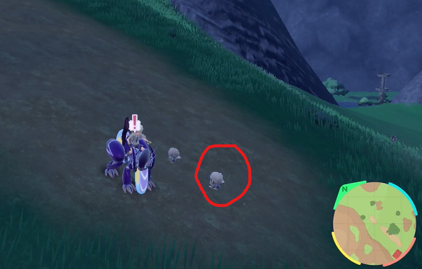 《寶可夢朱紫》毛頭小鷹捕獲攻略