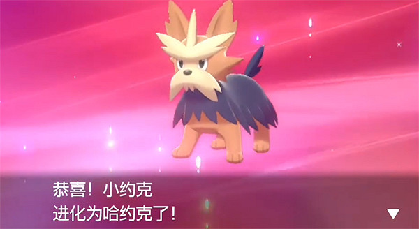 《寶可夢朱紫》約克夏獲取方式 《寶可夢朱紫》約克夏獲取方式