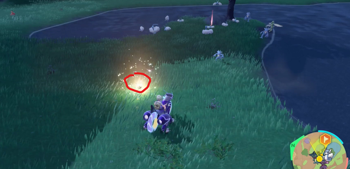 《寶可夢朱紫》青綿鳥捕捉攻略