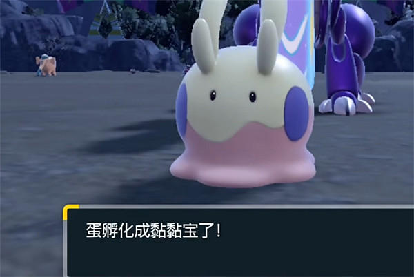 《寶可夢朱紫》小智隊組隊介紹