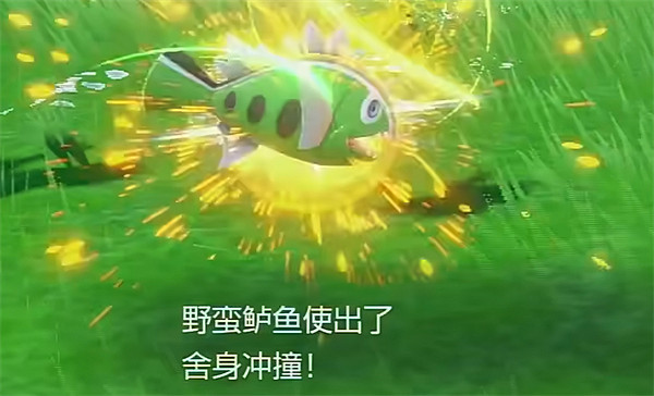 《寶可夢朱紫》野蠻鱸魚進化介紹